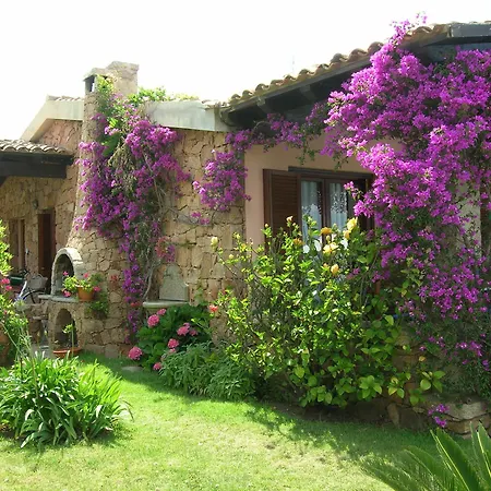 Apartment Svs - Isuledda San Teodoro (Sardinia)